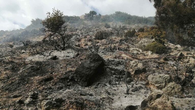 Χανιά: «Έτρεχε» σε δυο πυρκαγιές η Πυροσβεστική (βίντεο)