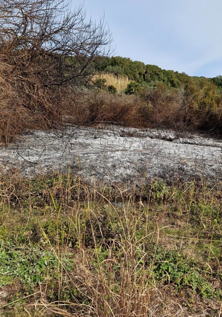 Κέρκυρα: Δυο στρέμματα έκαψε η φωτιά στο Αλευροπάρι