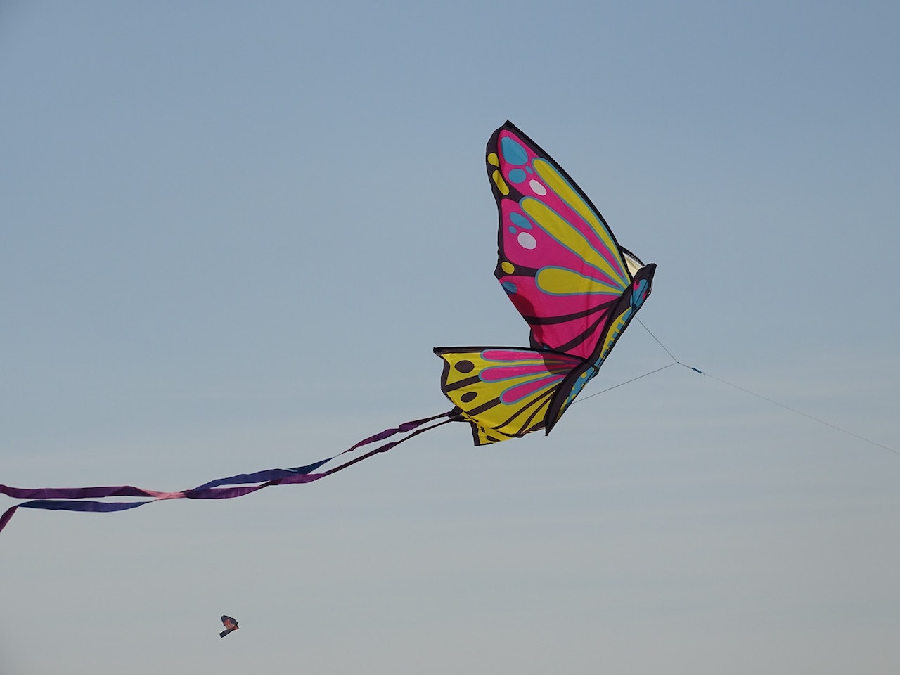 kite2