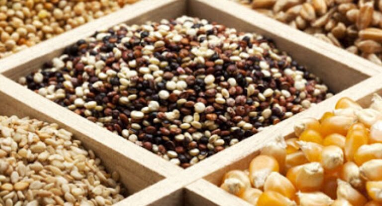 Ερώτηση Κόκκαλη για τις ελλείψεις προσωπικού στην τράπεζα φυτογενετικού υλικού