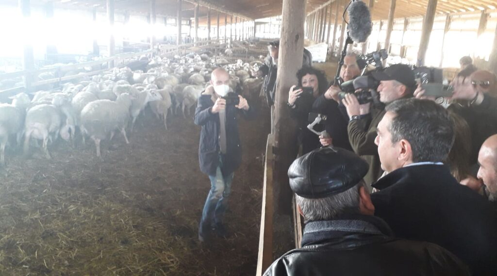 Τρίκαλα – Α. Τσίπρας: “Καταστροφική η πολιτική στην κτηνοτροφία”
