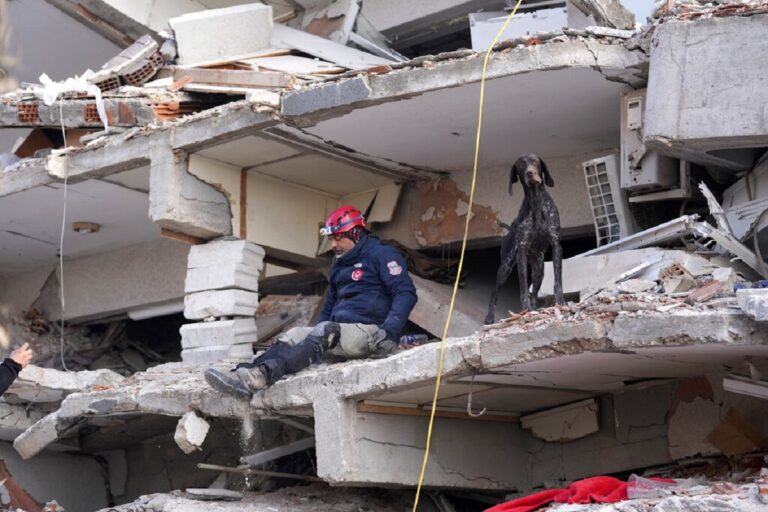 Ερντογάν: Η κυβέρνηση θα λάβει μέτρα εναντίον όσων εμπλέκονται σε λεηλασίες στις πληγείσες περιοχές