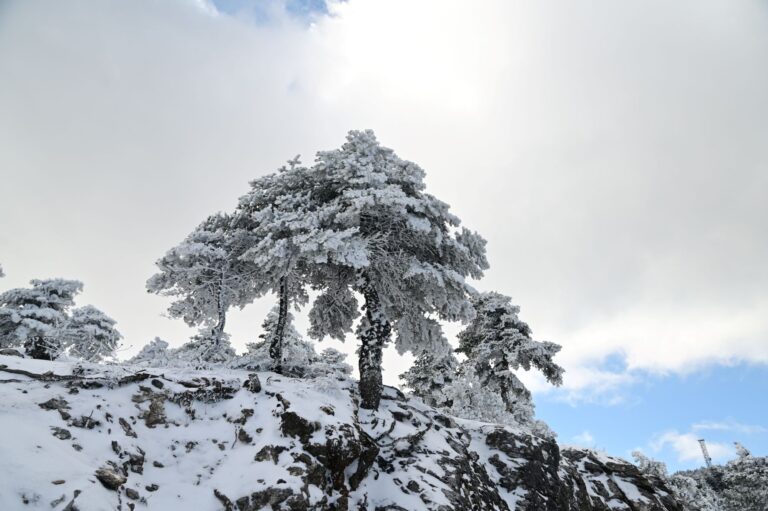 Έκτακτο δελτίο επικίνδυνων καιρικών φαινομένων με χιονοπτώσεις στη Θεσσαλία