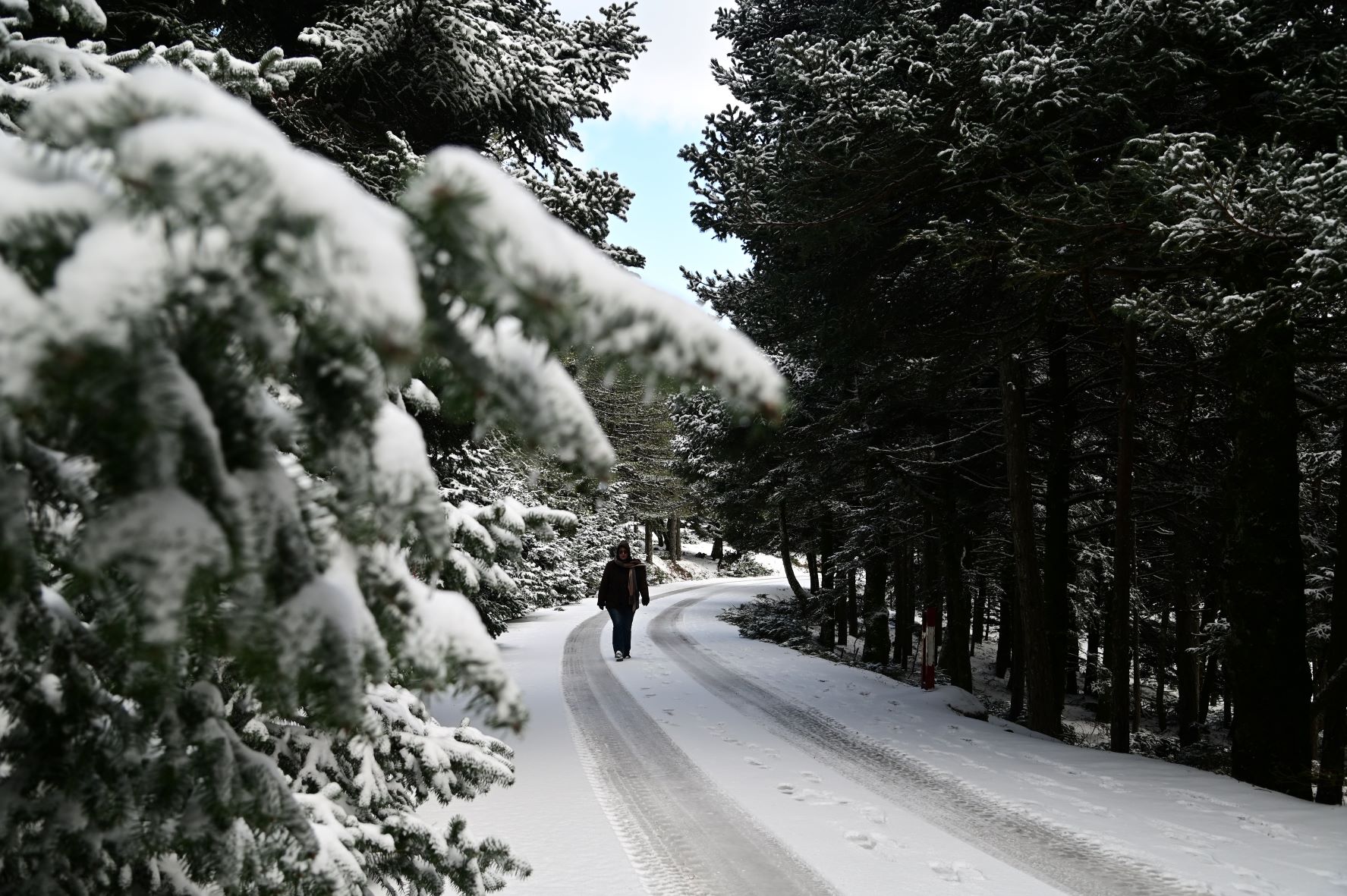 Λευκή επέλαση από το Σαββατοκύριακο με χιόνια και στο κέντρο της Αθήνας – Οι περιοχές που θέλουν προσοχή