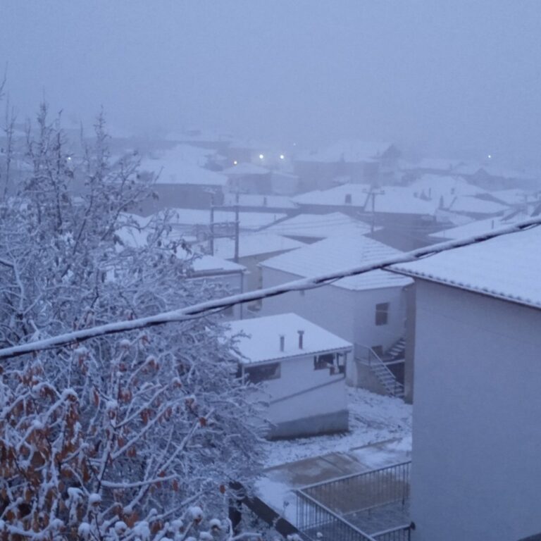 Ισχυρός παγετός στη Δ. Μακεδονία