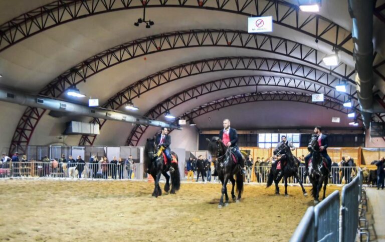 Θεσσαλονίκη: Δεκάδες άλογα θα καλπάσουν στους δρόμους στο πλαίσιο της 12ης Zootechnia