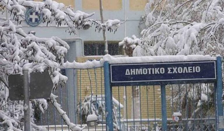 Ελασσόνα: Κλειστά τα σχολεία και ο παιδικός σταθμός στην Κοινότητα Λιβαδίου