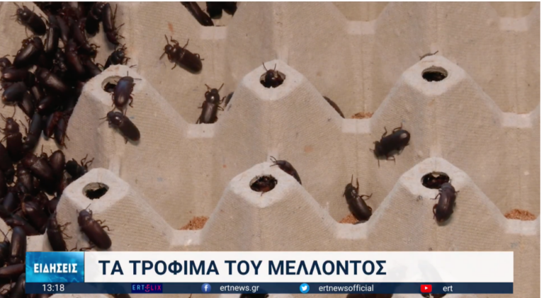 Θεσσαλονίκη-Detrop: Τα έντομα στα τρόφιμα του μέλλοντος