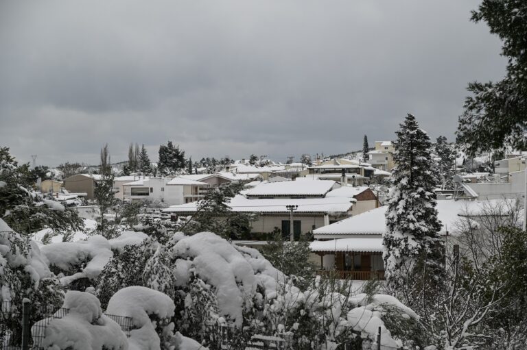 Σε ποιές περιοχές ανοίγουν αύριο 8/2 στις 11:00 τα καταστήματα, λόγω παγετού – Εξαιρούνται φαρμακεία και πρατήρια βενζίνης