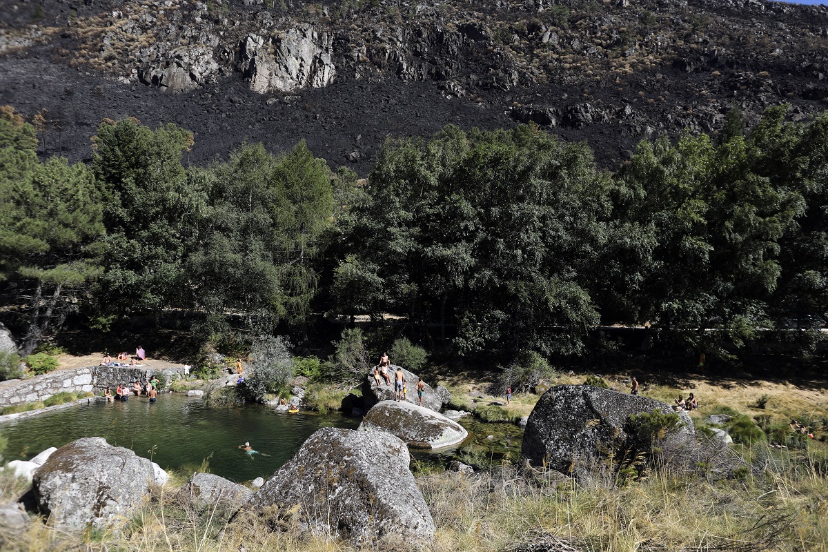 Παγκόσμια έρευνα: Δάση και χώροι πρασίνου μειώνουν τους κινδύνους για την υγεία