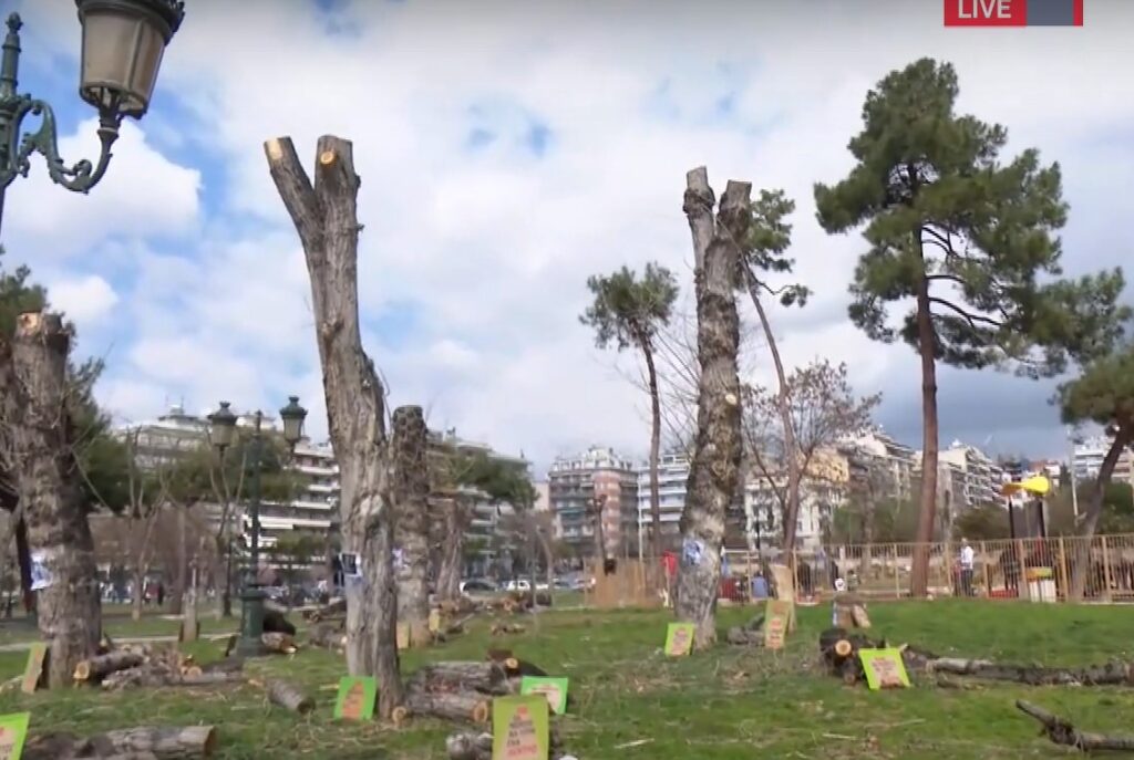 Θεσσαλονίκη: Το “κούρεμα” των δέντρων στην πόλη δεν έπρεπε να γίνει μαζικά