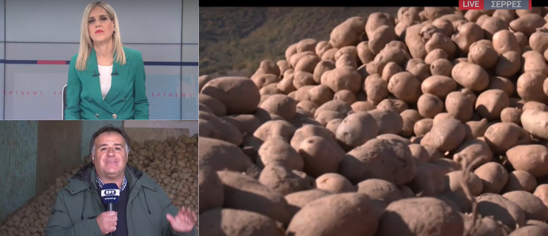 Σέρρες: Αδιάθετοι χιλιάδες τόνοι πατάτας