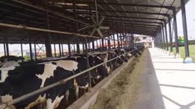 Πως θα περιορίσουν το ενεργειακό κόστος οι κτηνοτρόφοι