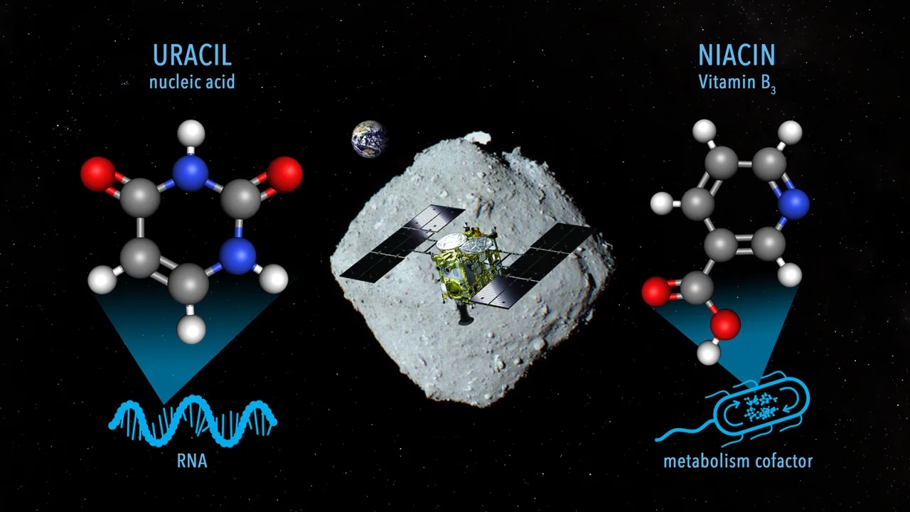 Επιστήμονες εντόπισαν οργανικά υλικά σε δείγματα του αστεροειδούς Ryugu