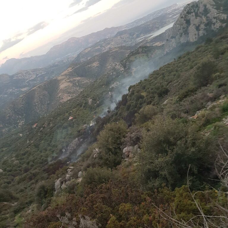 Υπό έλεγχο η φωτιά σε δασική έκταση στην Καλαμαύκα Ιεράπετρας