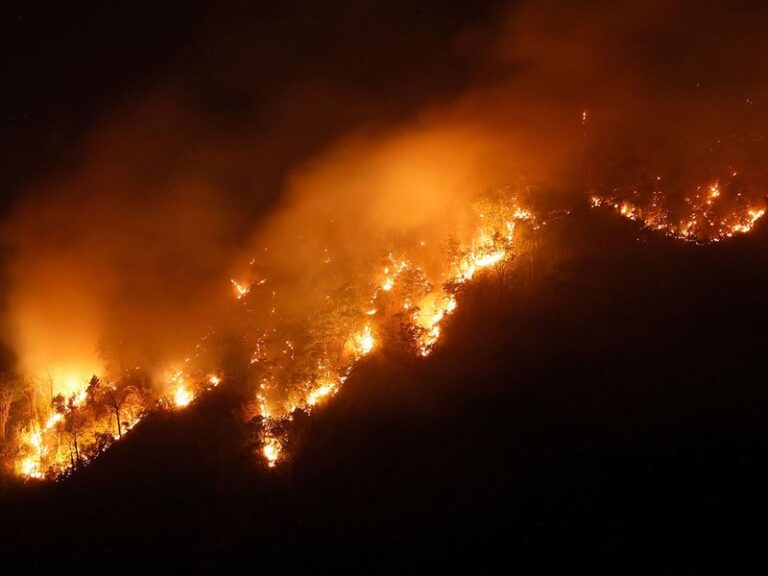 Ταϊλανδοί πυροσβέστες μάχονται με δασικές πυρκαγιές