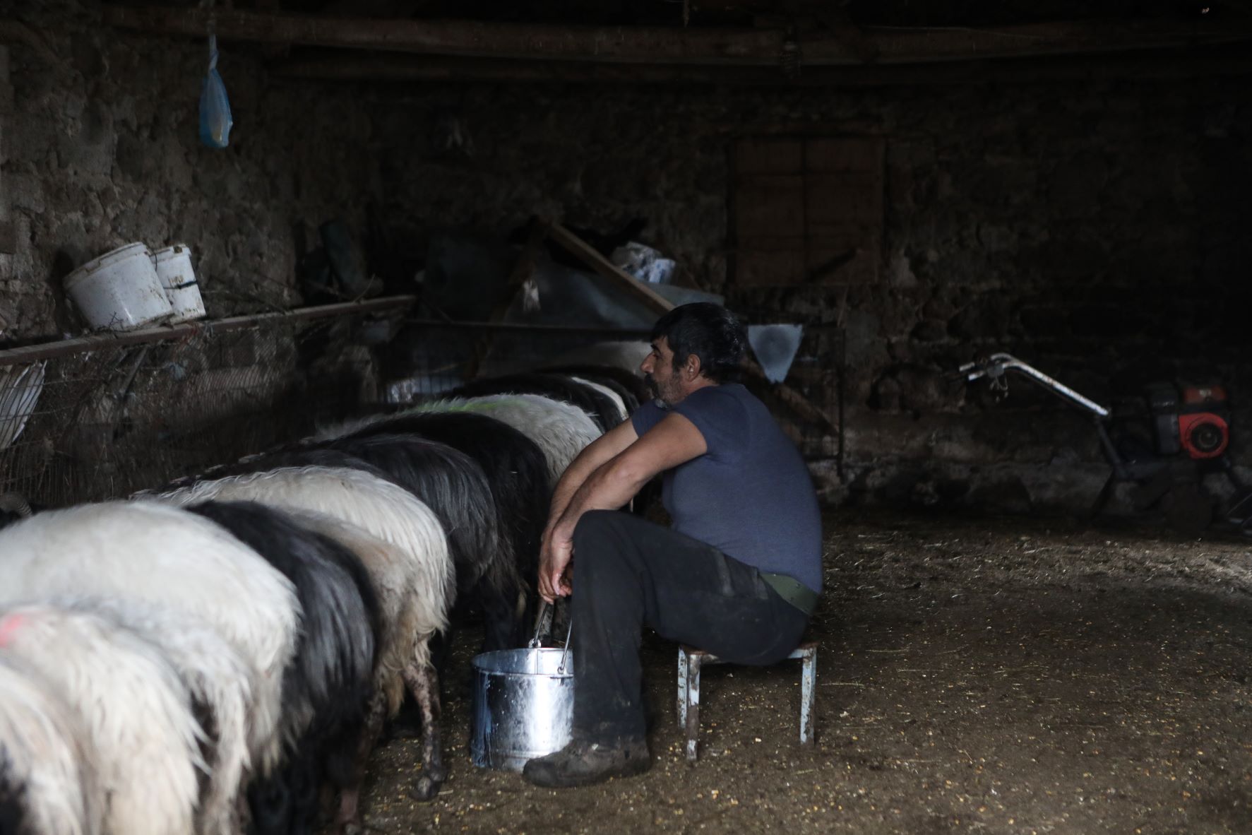 ΥΠΑΑΤ: Πληρωμή 7,1 εκατ. ευρώ για 3.750 δικαιούχους κτηνοτρόφους του Μέτρου 22