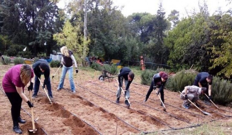 ΕΛΓΟ ΔΗΜΗΤΡΑ: Υπερψηφίστηκε το ενιαίο ρυθμιστικό πλαίσιο οργάνωσης και λειτουργίας – Πυρά από την αντιπολίτευση