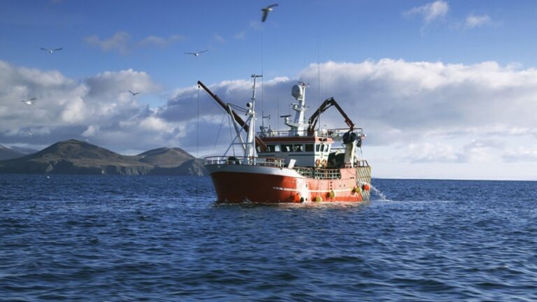 Ιρλανδοί ψαράδες: οι μεγάλοι χαμένοι του Brexit;