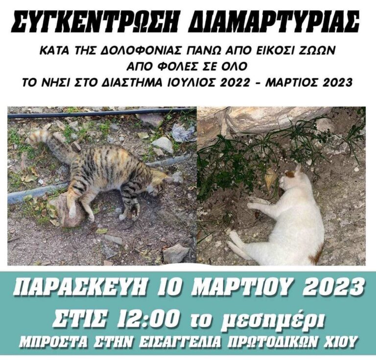 Φιλοζωϊκός Σύλλογος Χίου: Δεν πάει άλλο με τις φόλες