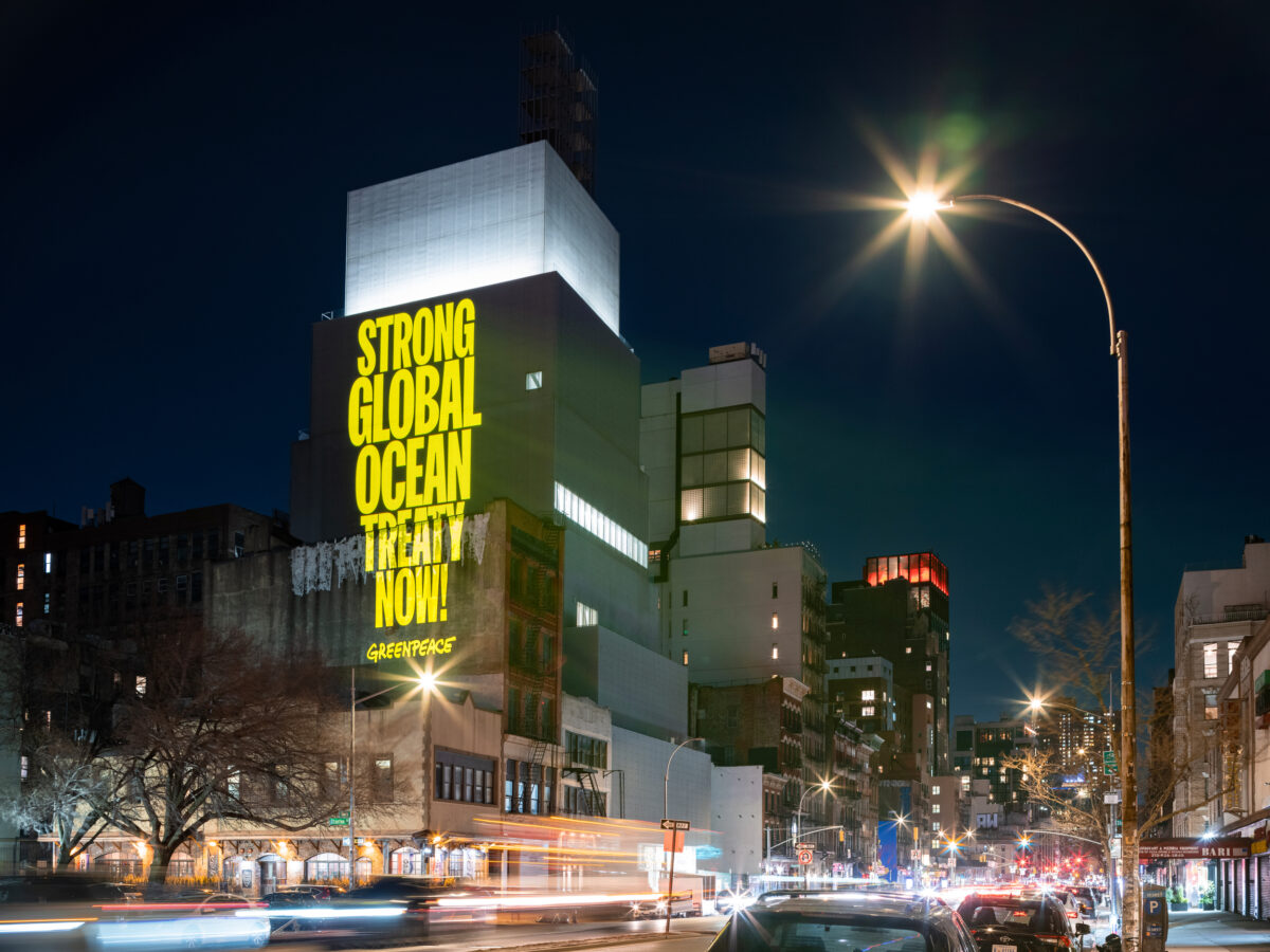 Protect the Oceans Projection onto the New Museum in New York