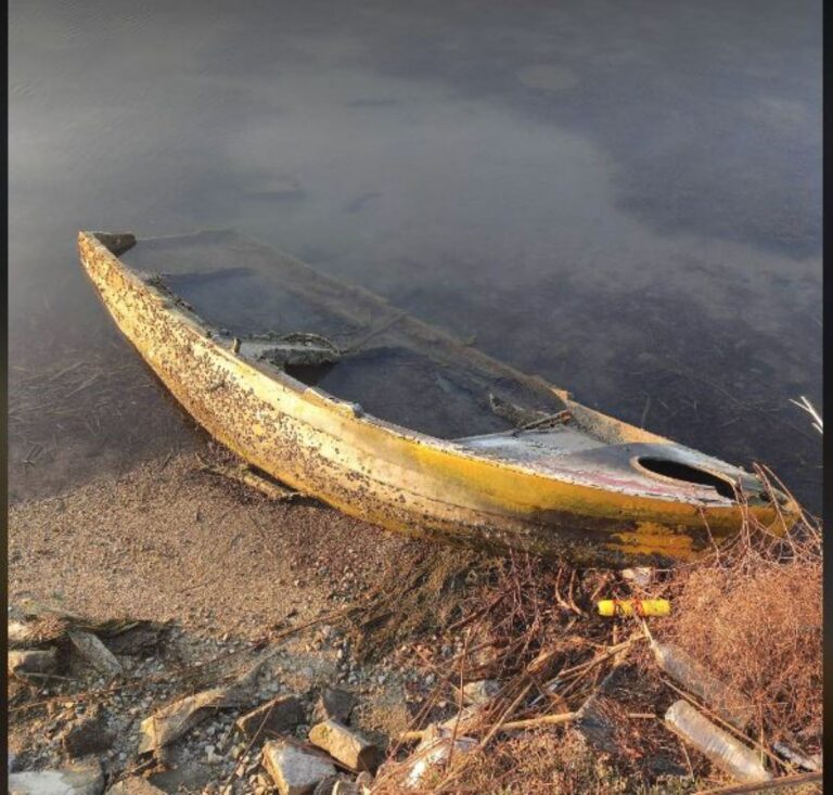 Καθαρισμός της δυτικής πλευράς του προβλήτα του σιδηροδρομικού πορθμείου Πευκακίων