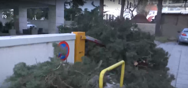 Ισχυροί άνεμοι και πτώσεις δέντρων στη Θεσσαλονίκη (video)