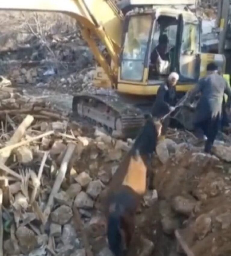Τουρκία σεισμός: Άλογο ανασύρθηκε ζωντανό μετά από 21 ημέρες από τα ερείπια κτιρίου  (video)