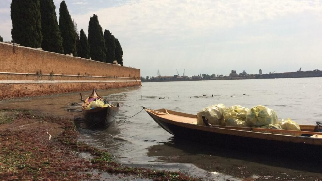 Η Βενετία αντιμέτωπη με ρύπανση από πλαστικά — Εκπρόσωποι περιβαλλοντικής ΜΚΟ στην ΕΡΤ