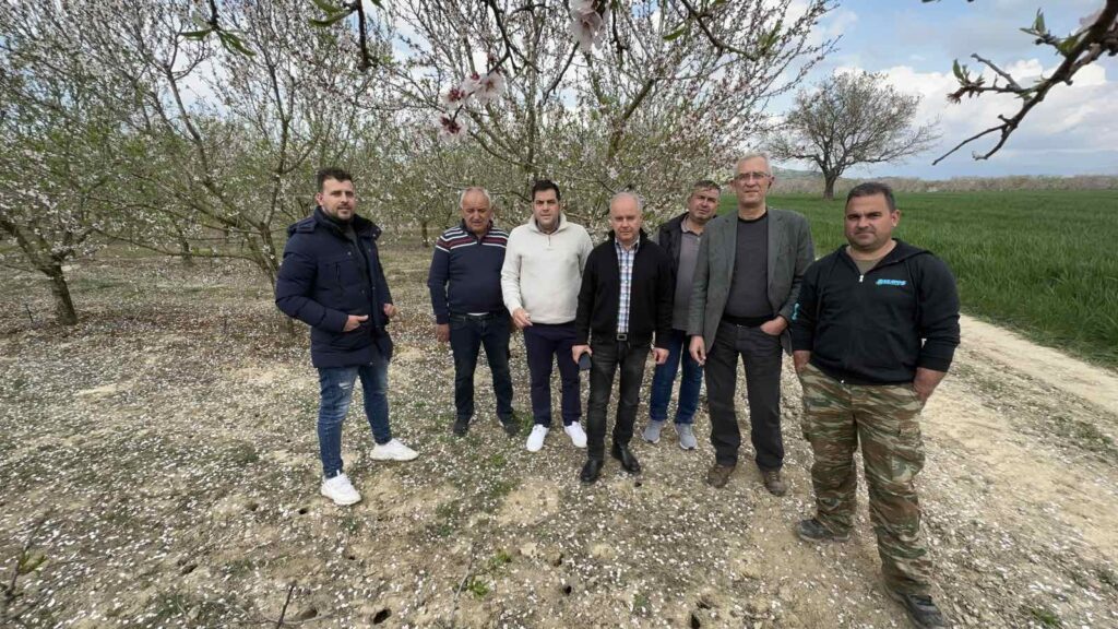 Δήμος Τεμπών: Αυτοψία στις καλλιέργειες αμυγδαλιάς