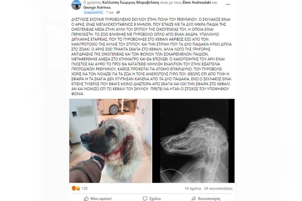 “Άνθρωπος” πυροβόλησε οικόσιτο σκύλο που έπαιζε με δύο παιδάκια