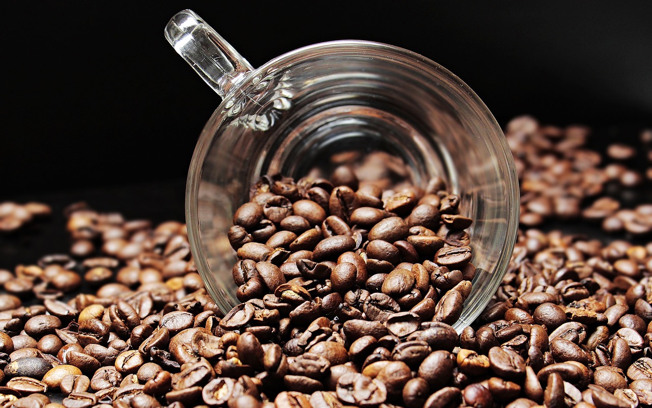 Οι καλλιέργειες καφέ θα μπορούσαν να μειωθούν στο μισό μέχρι το 2050, σύμφωνα με μελέτη