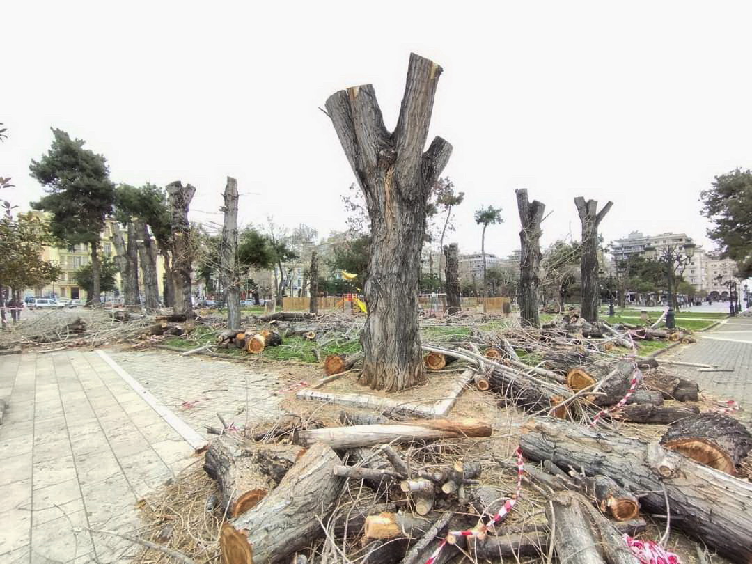 Δίκτυο για το Αστικό Πράσινο «SOSε τα δέντρα»: «”Τετέλεσται” για τα δέντρα του Πάρκου Ρωμαϊκής Αγοράς»