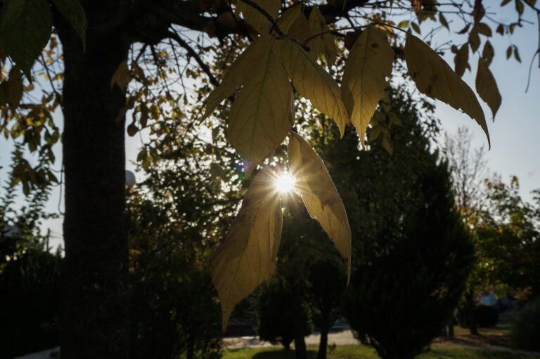 Ο καιρός με την Ερμιόνη Κατιρτζόγλου: Σταδιακή υποχώρηση των φαινομένων – Παραμένουν κρύο και βοριάδες
