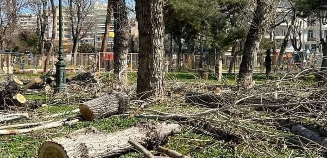Θεσσαλονίκη: Συνεχίζεται η διαμαρτυρία κατά της κοπής δέντρων στην πόλη