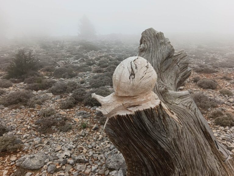Τα ιδιαίτερα γλυπτά του Ν. Μάνεση στα Λευκά Όρη – Ξυλογλυπτική στα… 1.200 μέτρα
