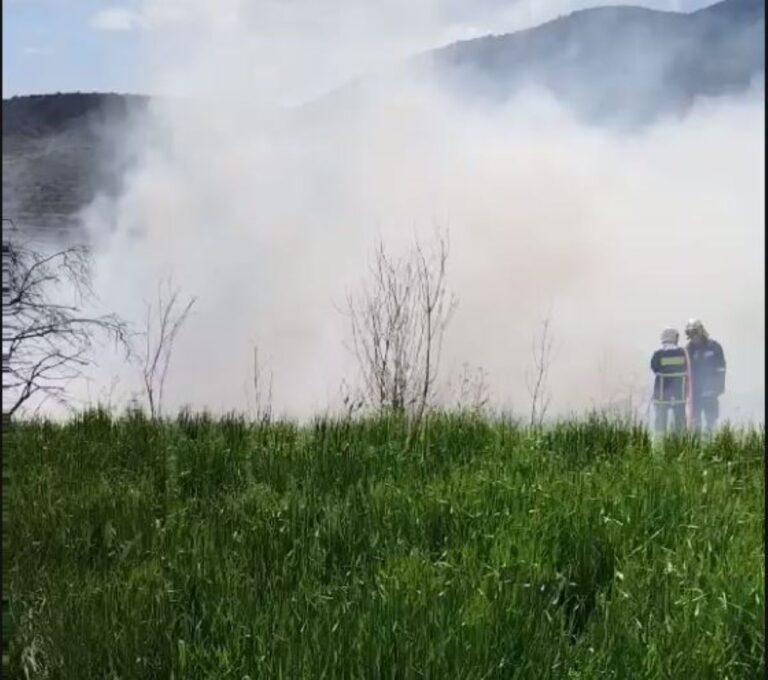 Συναγερμός στην Πυροσβεστική για φωτιά στην ΒΙΠΕ Βόλου – Αντιμετωπίστηκε άμεσα