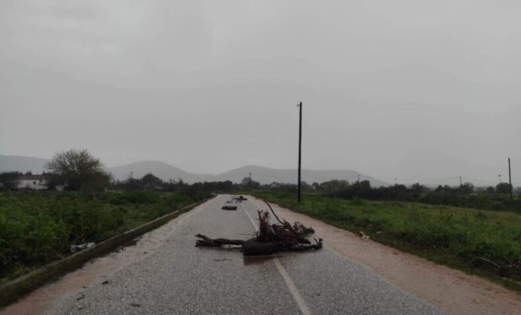 Ζημιές από ισχυρή χαλαζόπτωση στο Ζάρκο Τρικάλων (photos)
