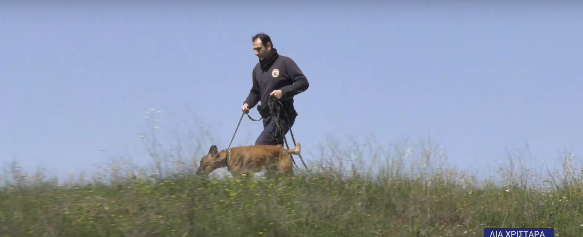 Θεσσαλονίκη: Με σκυλιά της αστυνομίας συνεχίζεται η έρευνα για τον 34χρονο δολοφόνο στη Χαλκηδόνα