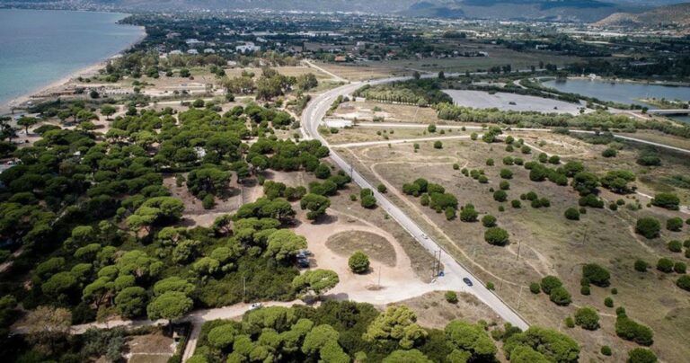 Λασίθι: Προβλήματα στην εξέταση των ενστάσεων καταγγέλουν οι ιδιοκτήτες των οποίων η γη έχει χαρακτηριστεί δασική έκταση