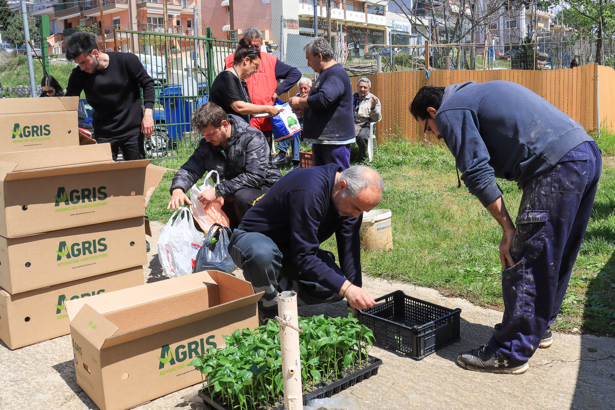Δήμος Νεάπολης-Συκεών: 7.000 φυτά μοιράστηκαν στους 100 δικαιούχους των τριών λαχανόκηπων