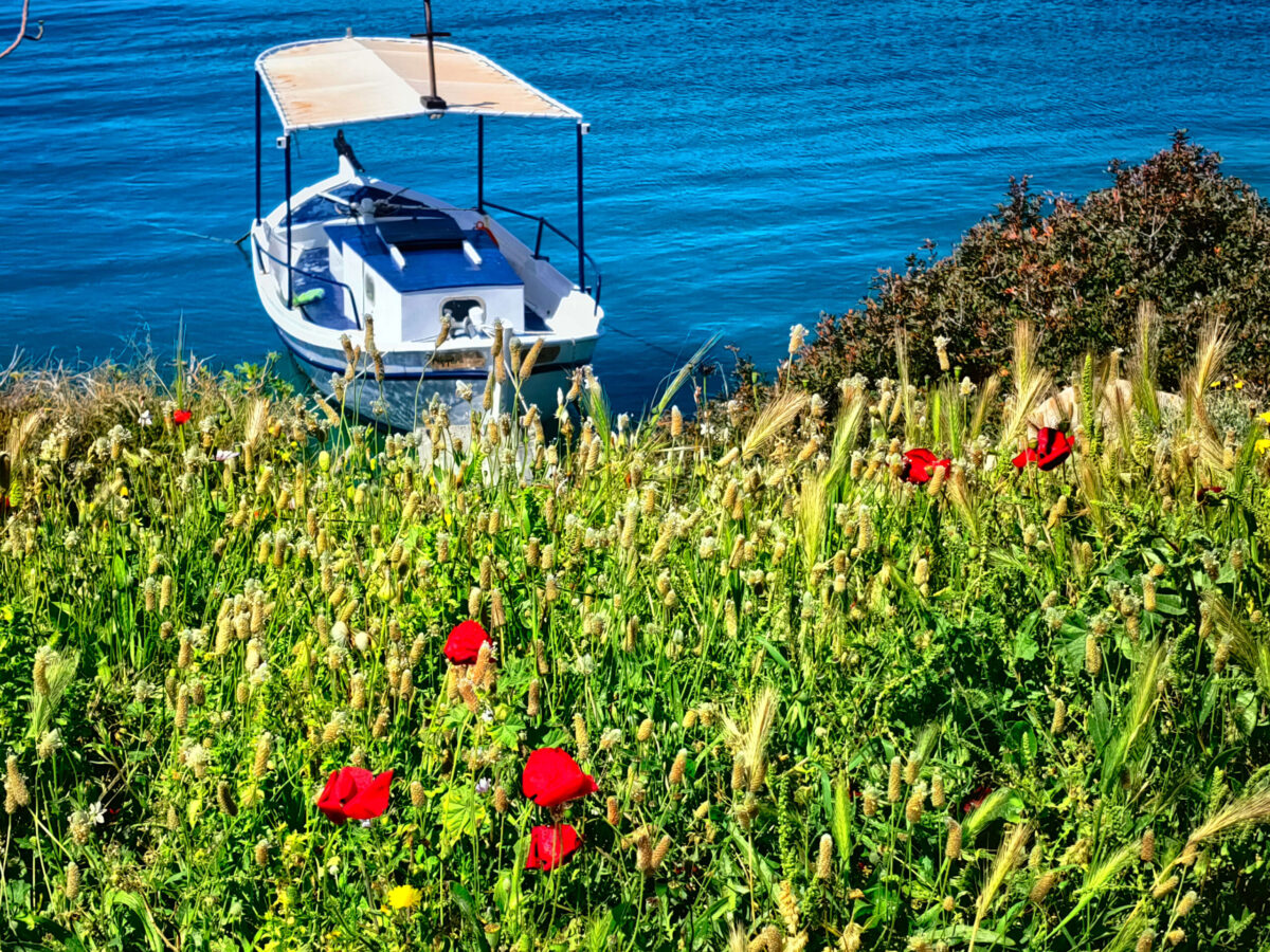 Την Πρωτομαγιά αρχίζει η τουριστική περίοδος – Διπλάσιες οι πληρότητες από την περσινή χρονιά