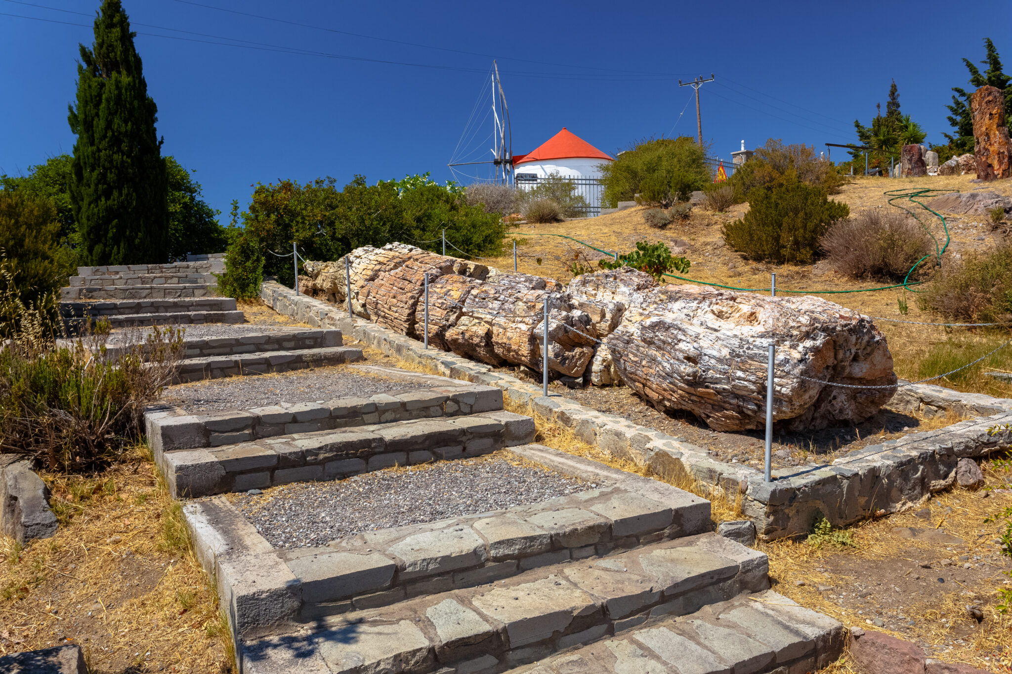 Νέα ευρήματα απολιθωμένων κορμών στο Σιγρί