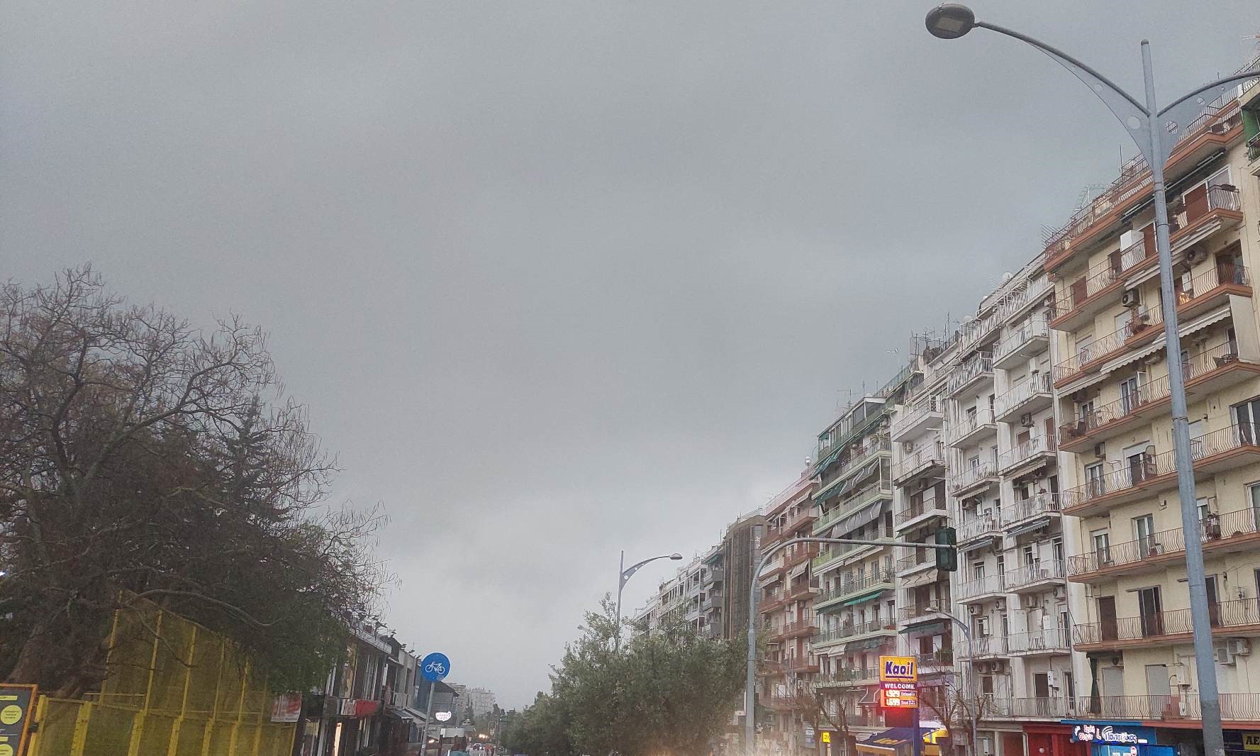 Δέκα πτώσεις δέντρων λόγω του ισχυρού αέρα στη Θεσσαλονίκη