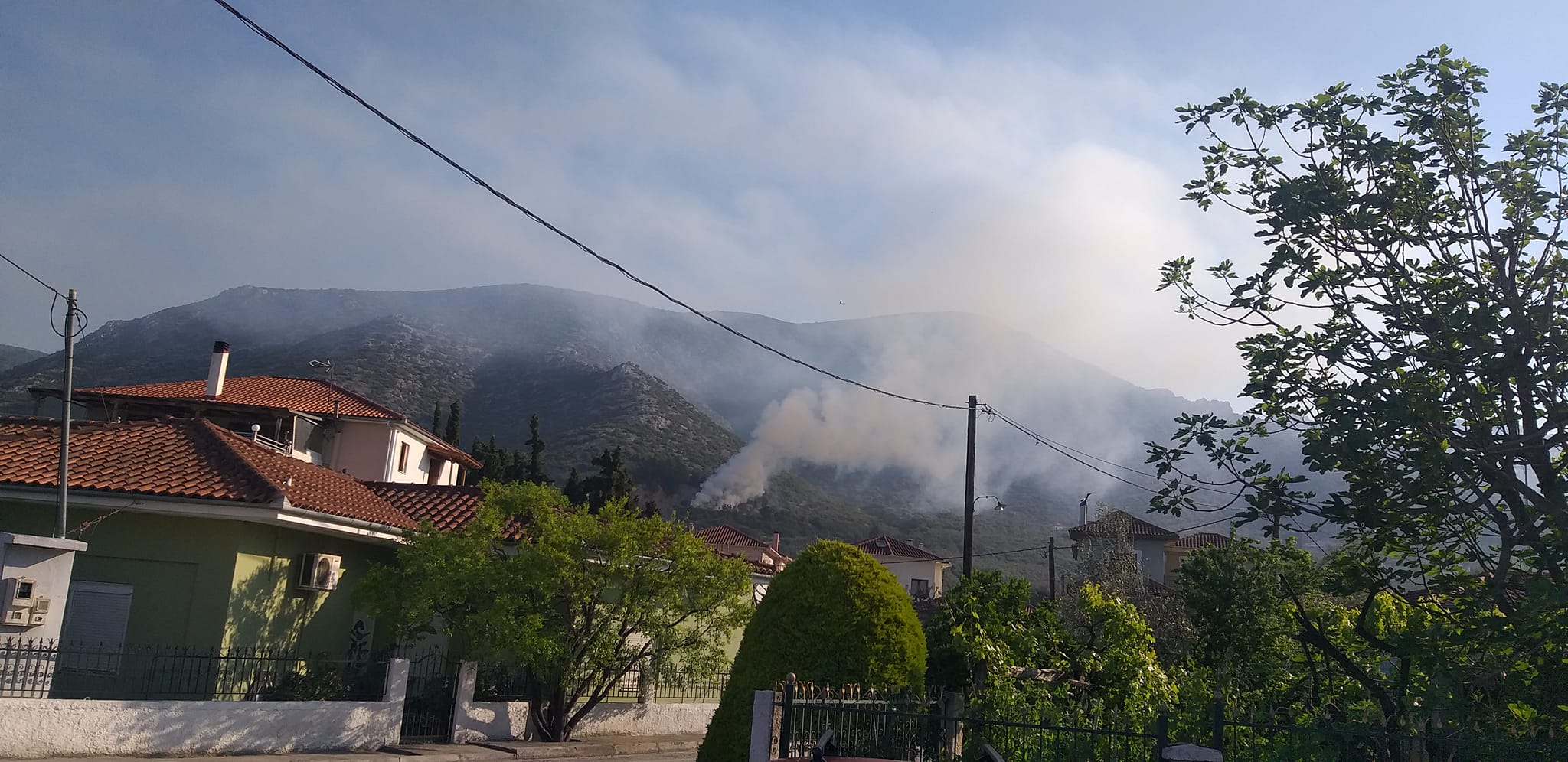 Καταγγελία πολιτών για φωτιά σε περιφραγμένο αγροτεμάχιο του Δήμου Βόλου- “Καίμε ξερόκλαδα” απαντάει ο αντιδήμαρχος Καθαριότητας