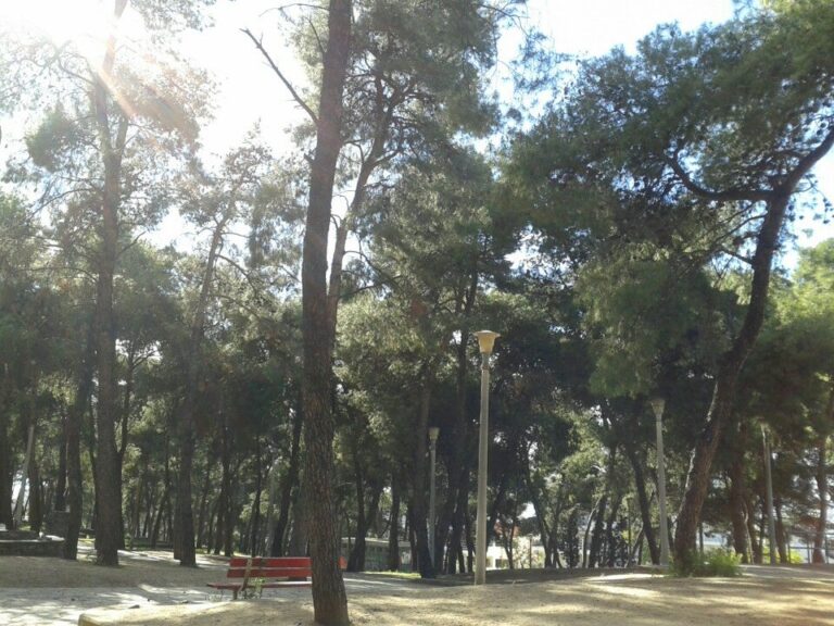 Δήμος Θεσσαλονίκης: Υπαίθρια αγορά με δημιουργίες των μελών του ΚΑΠΗ για φιλανθρωπικό σκοπό