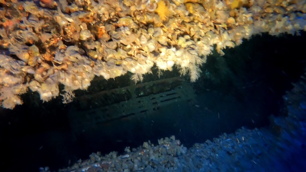 Εντοπίστηκε στα βάθη του Κάβο Ντόρο το ναυάγιο της «Χρυσής Αυγής» – Οι πρώτες εικόνες