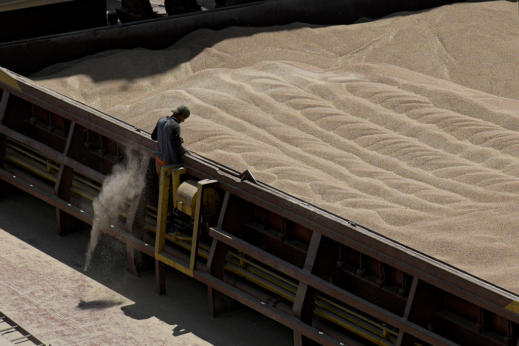Romania Poland Ukraine EU Grain