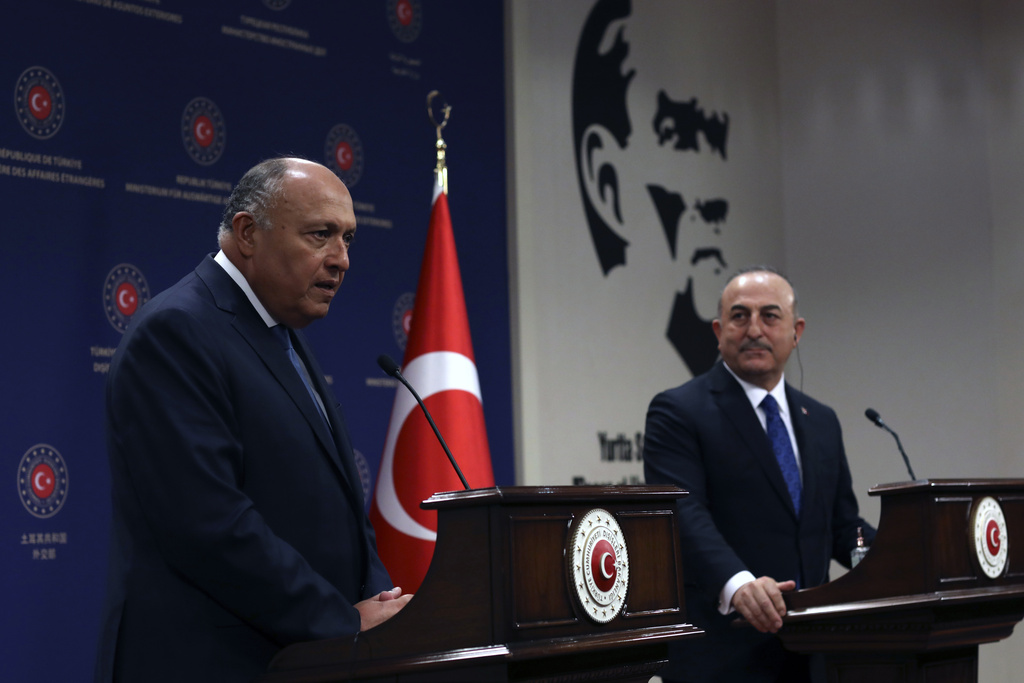 Mevlut Cavusoglu, Sameh Shoukry