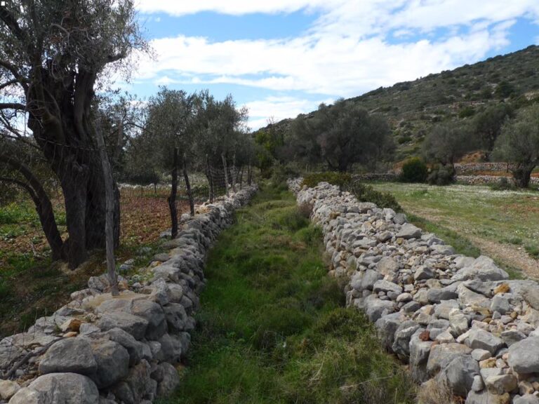 Φίλοι Μονοπατιών Χίου: Πεζοπορική διαδρομή με παρατήρηση πουλιών